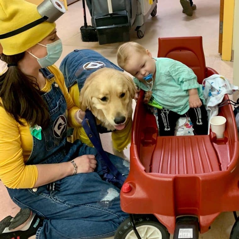 Therapy dog and toddler at Yale New Haven Children's Hospital