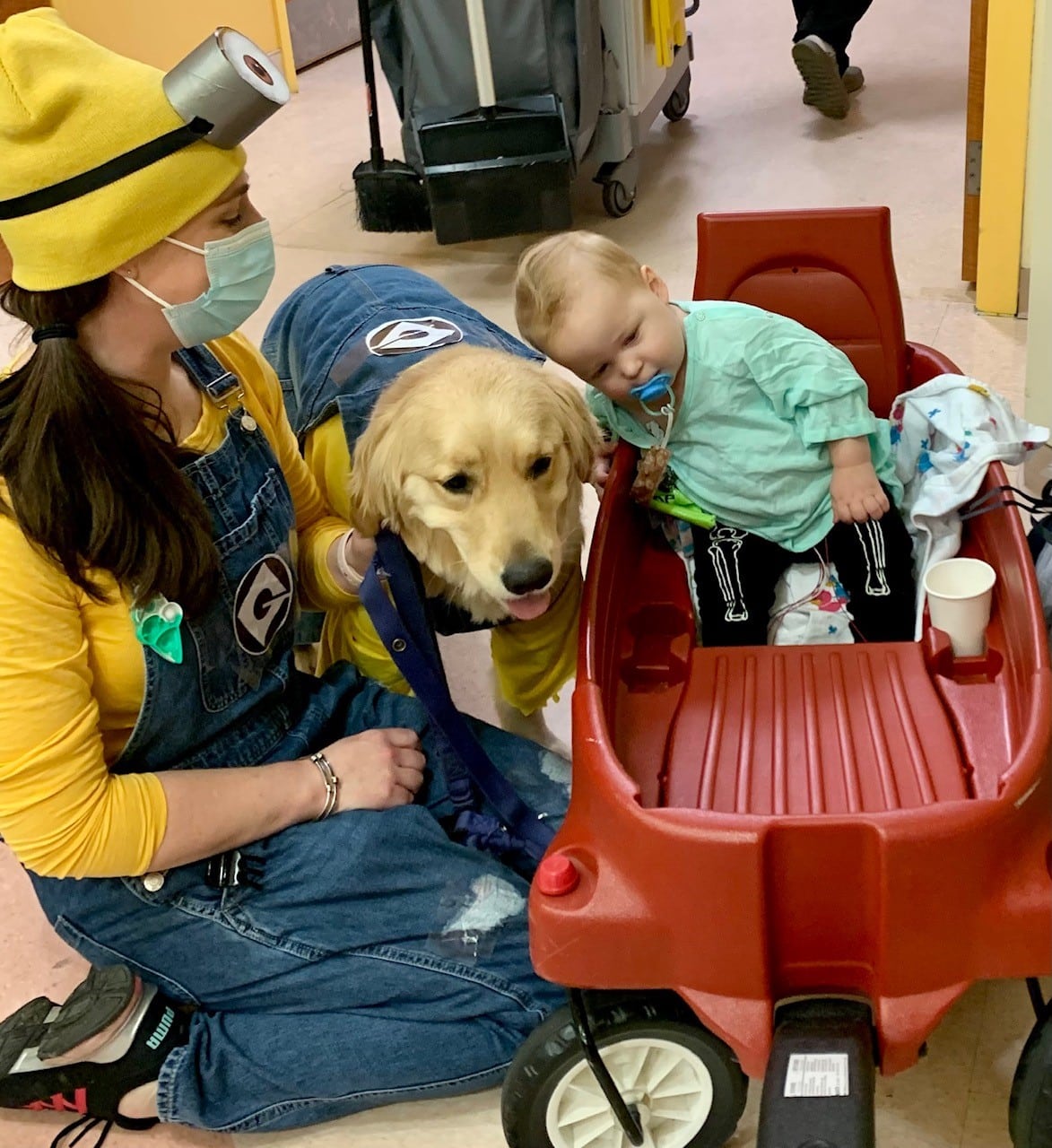 Therapy dog and toddler at Yale New Haven Children's Hospital